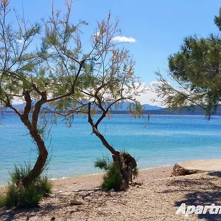 Ferdo * Živogošće